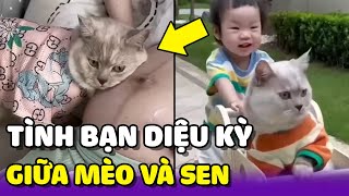 Tình bạn diệu kỳ của chú Mèo cùng Sen nhỏ 🥰 | Yêu Lu Official