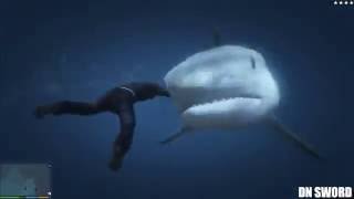 Gta V Crazy Funny Moment Shark Hunt Hd