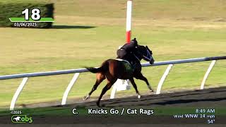 2025 OBS March Day 1 Under Tack Hip #1-272