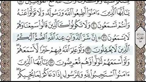 سورة الانفال الصفحة 179 الشيخ محمد صديق المنشاوي