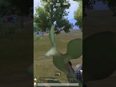 افضل تكمبيرة في تاريخ مشافنيش