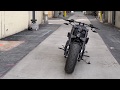 Custom 360mm V-Rod muscle "Demon" by DD Designs