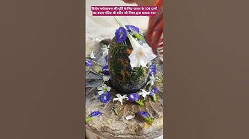 विशेष मनोकामना की पूर्ति के लिए चावल के 108 दानों का उपाय 🌿plz subscribe #pradeepmishraji #shivkatha