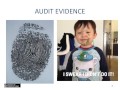 Topic 4 - Audit Evidence