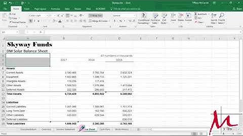 Module 4, Case 3 Skyway Funds, pt 1
