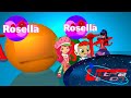 UltraToon Rosella Bumper UltraToon Rosella Bumper