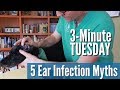 5 Dog Ear Infection Myths