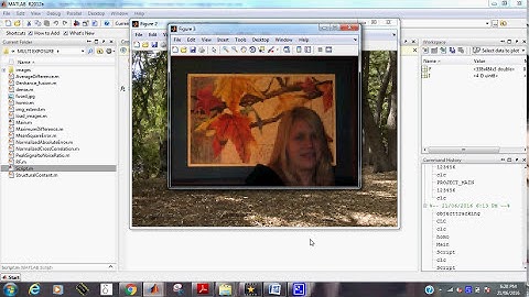 Multiexposure Image Fusion Using Homomorphic Filtering and Detail Enhancement