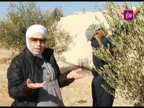 امل القيمري تتحدث عن شجر الزيتون رؤيا 