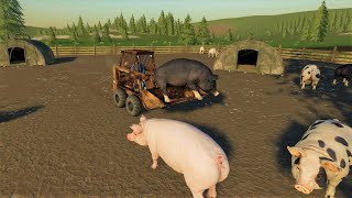 We find the thief and buying new animals | Back in my day 22 | Farming simulator 19 screenshot 5