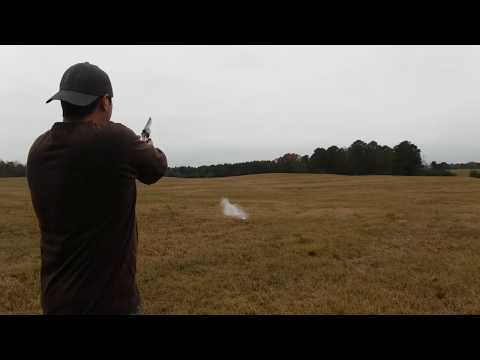 .357 COLT PYTHON vs bag of FLOWER