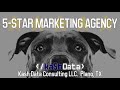 Kash Data Consulting LLC - Online Marketing and SEO in Plano, TX