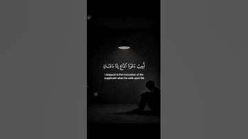 اكتب شيء تؤجر عليه 🪐😴 / القارئ عبد الباسط