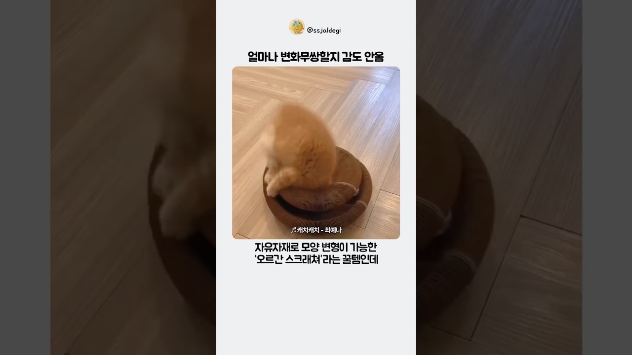 얼마나 변화무쌍할지 감도 안옴