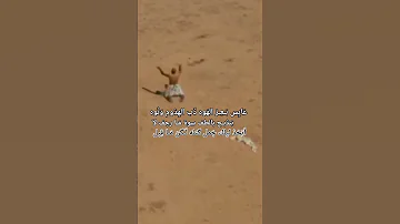 عابس بعز الهوه ذب الهدوم ونوه عاشق الامام الحسين عابس الشاكري تصميمي مسلم الوائلي ذوله خوتهم صدك 