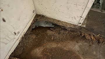 Skoolie- Bus Floor is Rusted Out