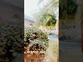 “It Was A Good Day” Song by Ice Cube #shorts #skating #crushing #chill #vibes #fyp #icecube