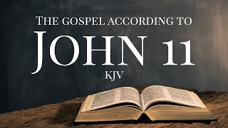 Comfort In Your Grief | John 11 KJV