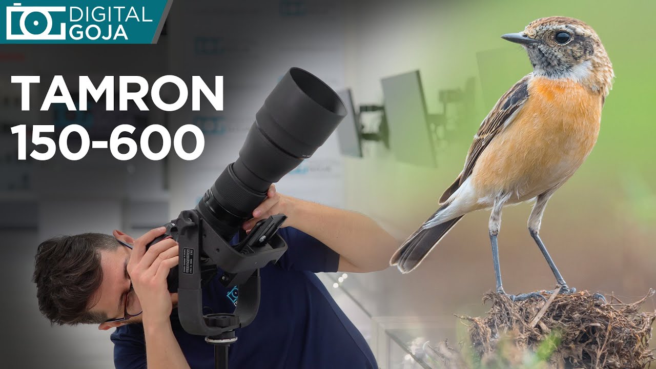Bird Photography with the Tamron 150600 YouTube