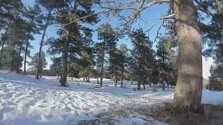 DJI FPV in the forest at 500mW (comparison to Byte Frost) @techdaemn