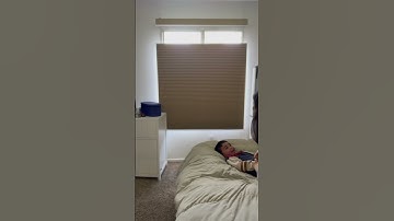 Top Down Bottom Up Shades, Adapt to any mood and moment.