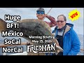 Huge Bluefin Tuna Biting Hard! Yellowtail & Halibut Updates Live from Ensenada