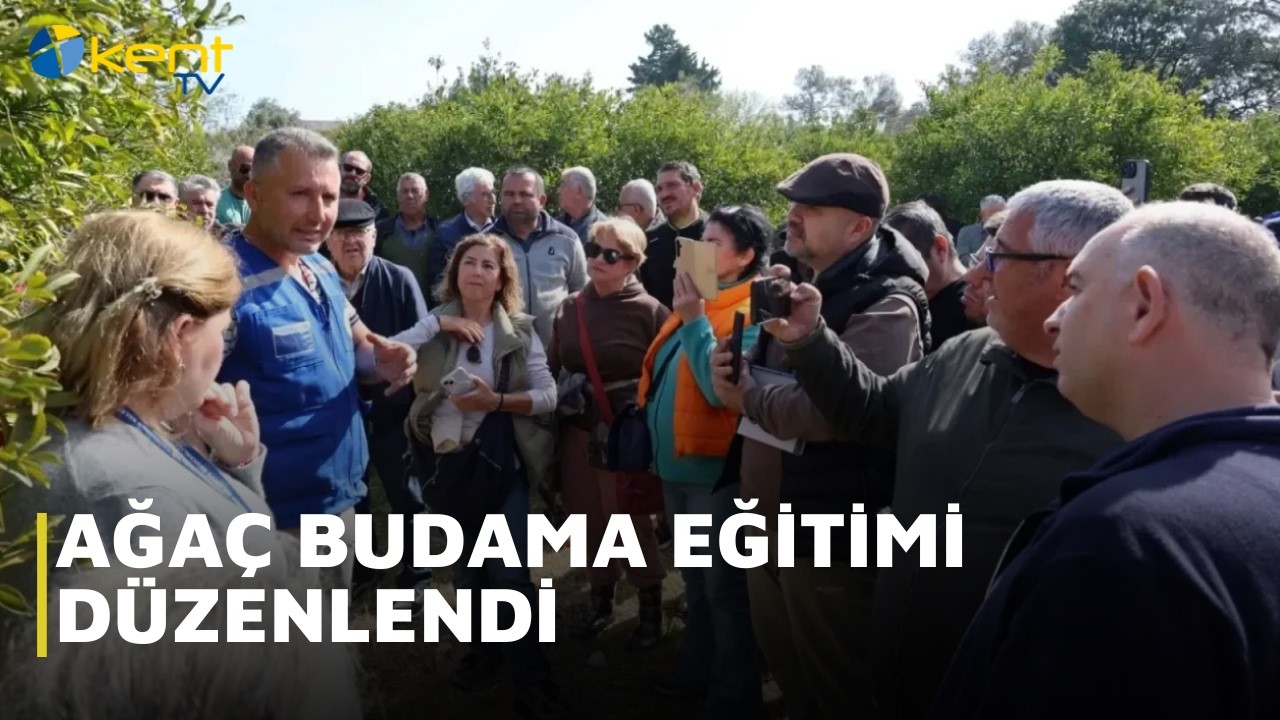 AĞAÇ BUDAMA EĞİTİMİ DÜZENLENDİ