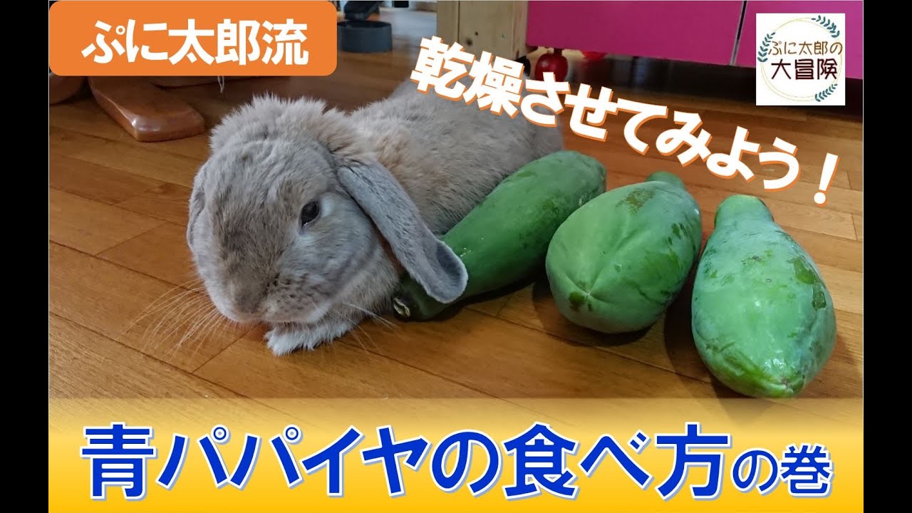 ぷに太郎流 好きな野菜ランキングの巻 Vol ぷに太郎の大冒険 Youtube