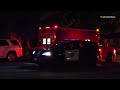 Police Pursuit Ends in Dramatic Arrest: Suspect Jumps from 2nd Floor and is Apprehended by K9