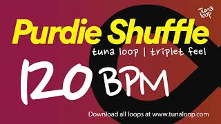 Purdie Shuffle 120 BPM | Half Time Shuffle Backing Track | Triplet Feel