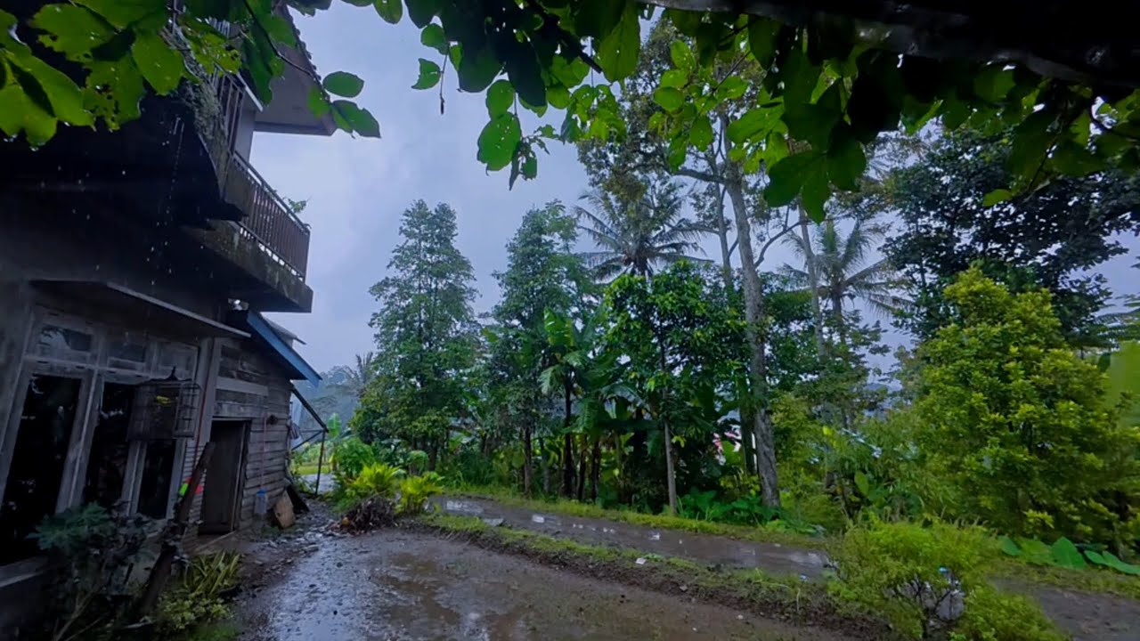 Rain Calm 🌦️ Afternoon Drizzle | Gentle Rain White Noise for Focus & Relax | No Ads