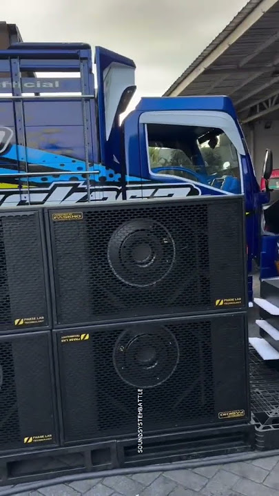 REVERSE Single Bass System With Linery #dj #soundsystem