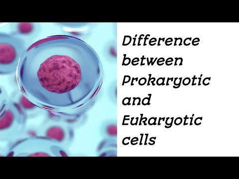 3)difference between cells #science #telugugirl #humanbody #celltheory