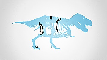 Why Most Fossils Are Incomplete