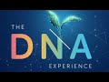 Unlocking your Employer DNA - helping your business survive and thrive | Barnett Waddingham