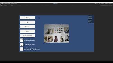 CatFaceTrackingFromWebcam