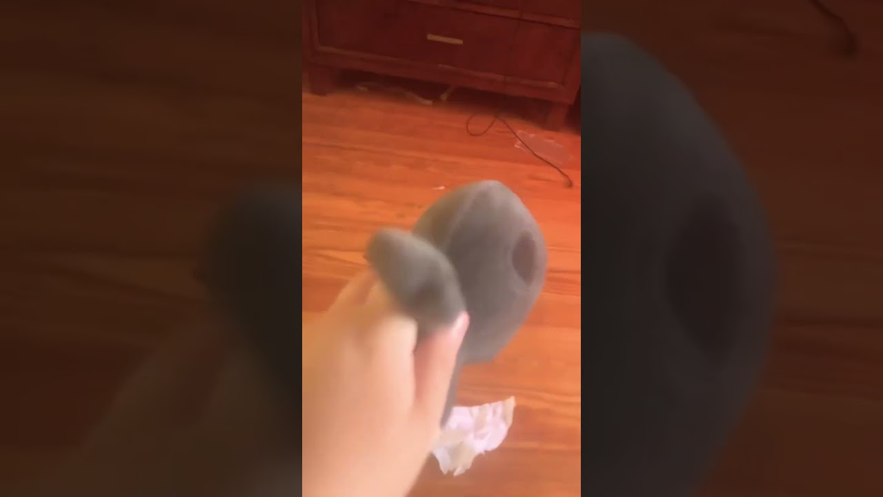 Funny stuff with your pal Sammy lonesome￼￼