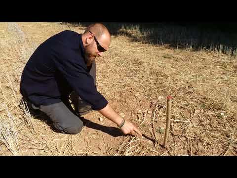 Natural Navigation quick tip (The Shadow stick)