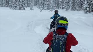 Snowmobile Sicamous BC 2023