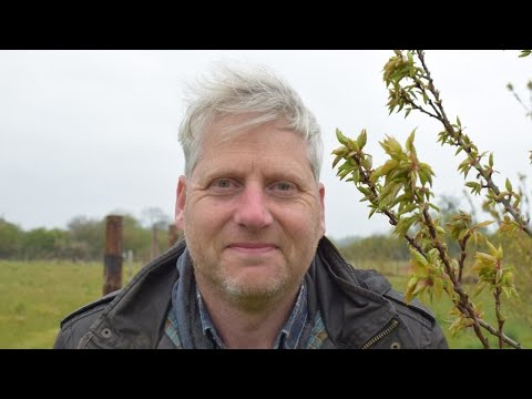 Farming for the Future: The Woodchip Handbook