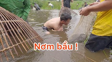 Nơm cá hưng hugo / Nơm bàu cá goll bính nghi xuân