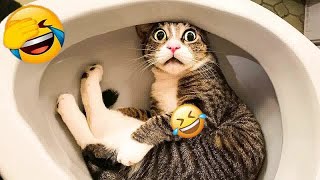 YOU LAUGH YOU LOSE😺Best Funny Animals Video 2024😼🐶