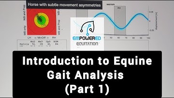 Introduction to Equine Gait Analysis (Part 1)