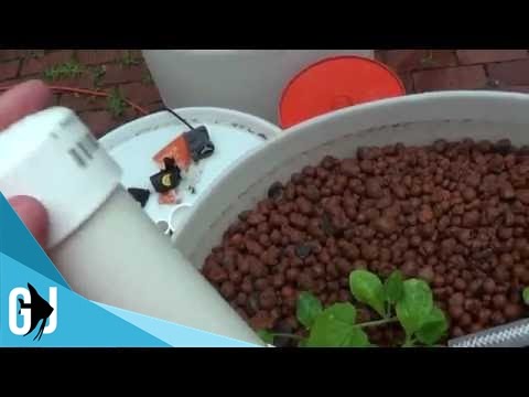 #376: How to Fine Tune a Bell Siphon - Tank Tip