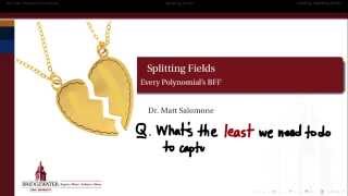 302.S5: Splitting Fields Details