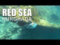 Red sea Egypt Hurghada Snorkeling