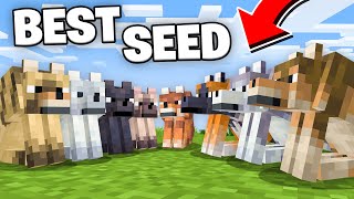 The PERFECT Seed For Minecraft 1.21! (All New Wolf Variants at Spawn!)