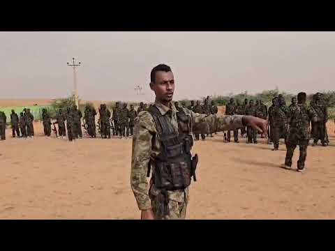 جيش واحد شعب واحد براؤون يا رسول الله صلى الله عليه و سلم