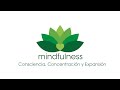 Consciencia concentracin y expansin