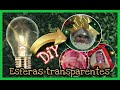 Esferas transparentes DIY💡Como hacer bolas transparentes y personalizadas para decorar en navidad